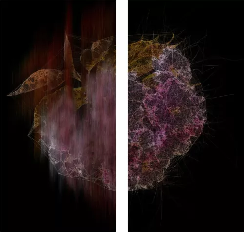 Ryoichi Kurokawa, lttrans #8, (2018). Dittico, stampa digitale, 1200 x 600 mm ciascuno, © L’artista. Courtesy Takuro Someya Contemporary Art.