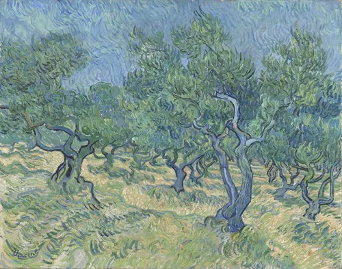 Vincent van Gogh, Uliveto, luglio 1889, olio su tela, © Kröller-Müller Museum, Otterlo.