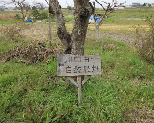 Nell’insegna si legge: “Yoshikazu Kawaguchi – campo di agricoltura naturale”.