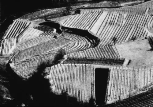 ph. Elio Ciol