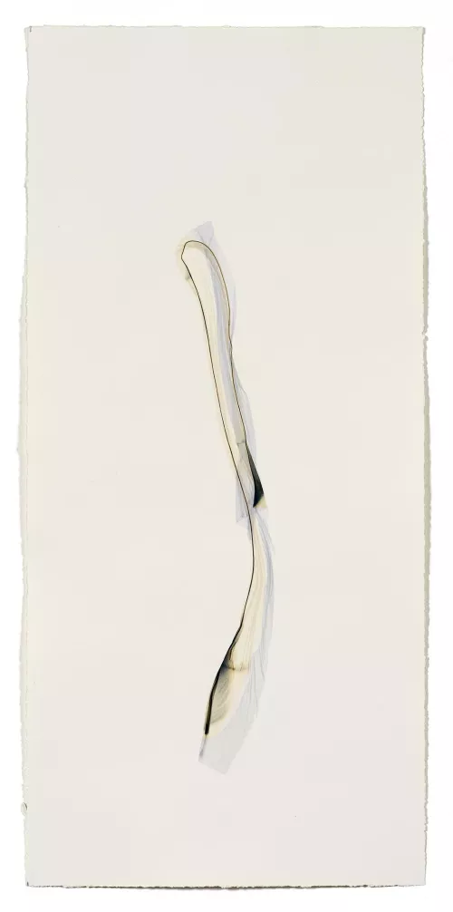 Beatrice Pediconi, Untitled small 4, 2020, 66x30.