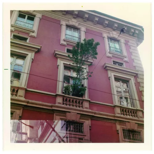 Hundertwasser, L’albero inquilino.