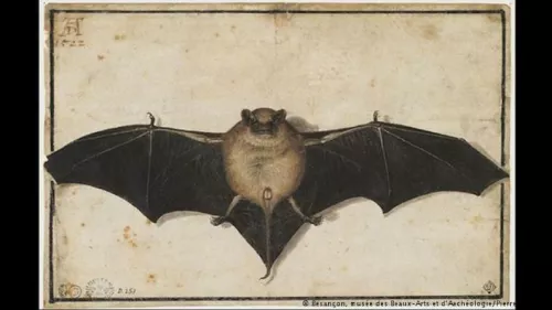 A. Dürer, Il Pipistrello, 1522.