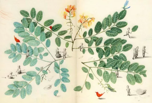 Hans Christian Andersen, Joanna Concejo, I cigni selvatici, (trad. Maria Giacobbe), Topipittori 2010