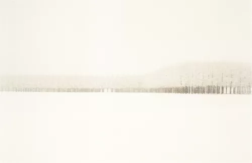 Luigi Ghirri, Campagna modenese 1985. Eredi di Luigi Ghirri.