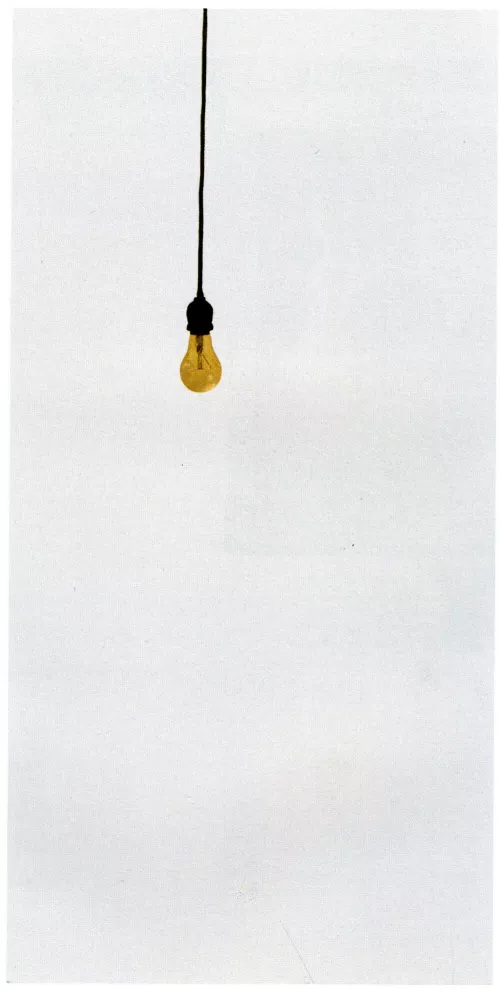 Michelangelo Pistoletto, Lampadina, 1964, collezione Robert Rauschenberg