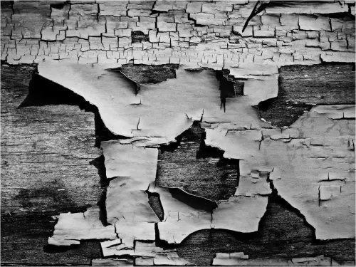 Ph Aaron Siskind.
