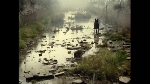 Andrej Tarkovskij, Stalker, 1979.