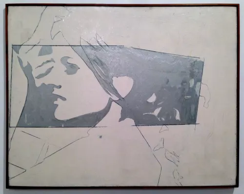Fig. 7 - Giosetta Fioroni, La ragazza della TV, 1964