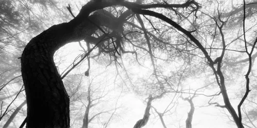 Ph Bae Bien-U.