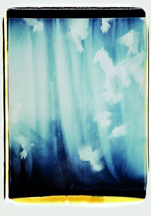 Nino Migliori, 50x60, 1991.