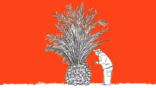 Illustrazione di Lorenzo Terranera
