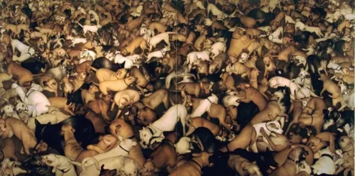 Dan Witz, “Dogs Diptych”, 2003, oil and mixed media on canvas 44x 88