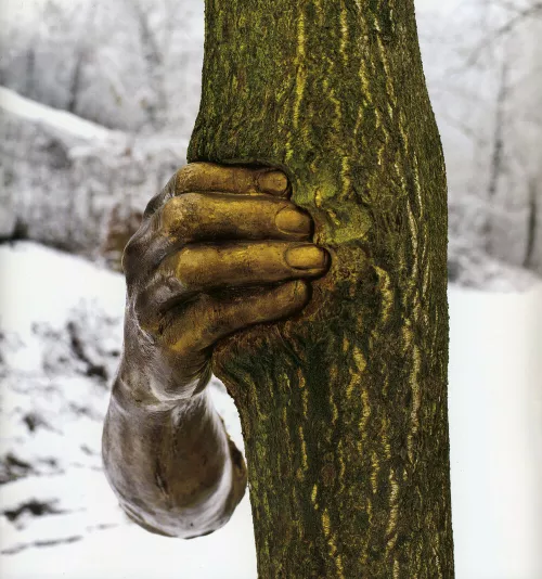 Giuseppe Penone, Continuerà a crescere tranne che in quel punto, 1968-2003