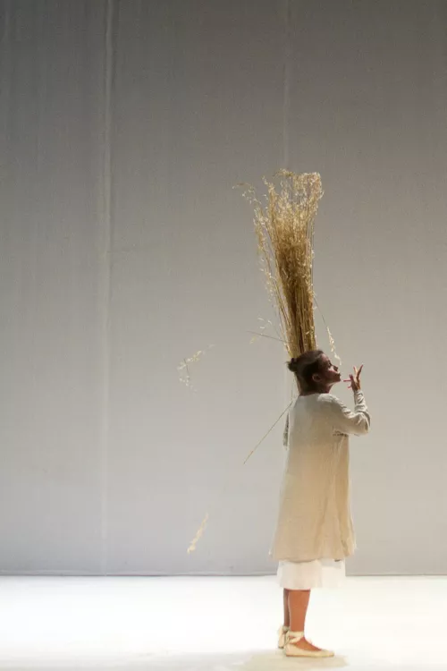 L'origine del mondo. Immagini di Claire Pasquier