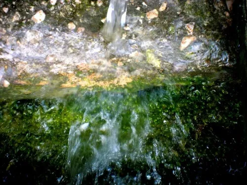 Signorina di Faedis, località Canal el Ferro (UD).
