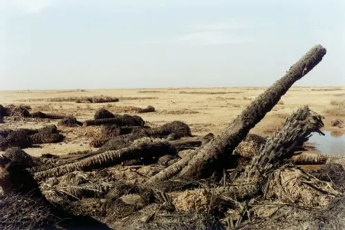 Sophie Ristelhueber, Iraq, 2001