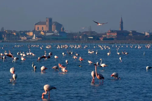 Comacchio