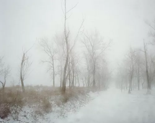 ph. Todd Hido