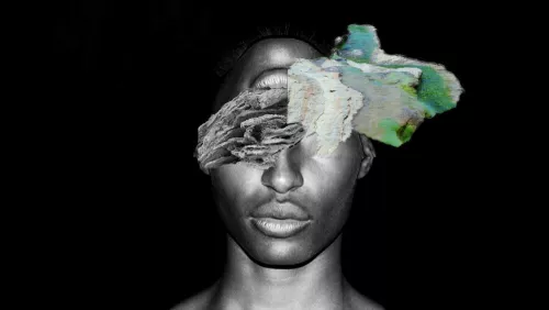 Nkiru Oparah, Poetics of reverie, 2014