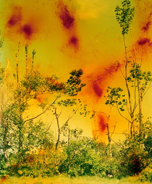 Wolfgang Tillmans, Tempesta di ghiaccio, 2004. Courtesy dell'artista; Galerie Buchholz (Berlino) e Galerie Chantal Crousel (Parigi).