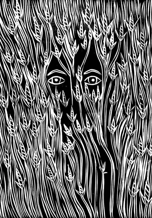 Illustrazione di Matt Ferguson.