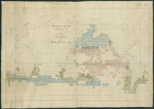 La Mappa delle Balene di Matthew Fontaine Maury (U.S. Navy, National Observatory, 1851).