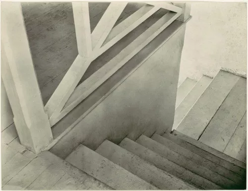 Foto di Tina Modotti.