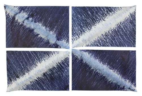 Ecotone #250.
