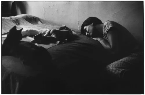 Ph Ph Elliott Erwitt.