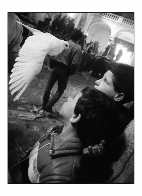 Letizia Battaglia, I misteri. La colombina, Trapani 1989.