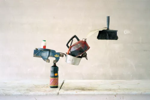 Fischli and Weiss, Blossoming Branch, 1986
