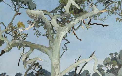 Illustrazione di Cressida Campbell.