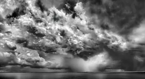 Ph Murray Fredericks.