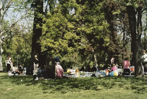 Il parco. Milano, Parco Sempione, 2006