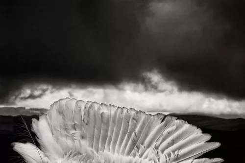 © Giorgio Negro, “Pathos”, Festival della Fotografia Etica, Lodi 2020.