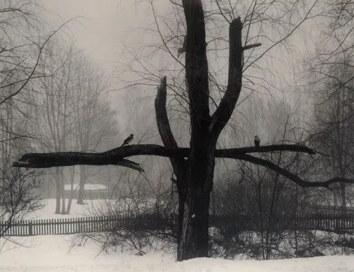 ph. Pentti Sammallahti