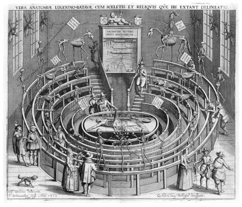 Anatomical Theatre Leiden.
