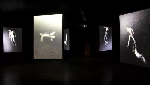 Steve Sabella, Indipendence, Installazione, 2013.