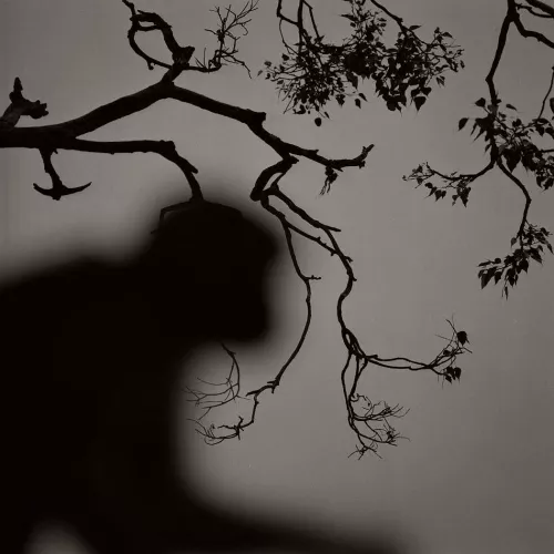Ph Kenro Izu.