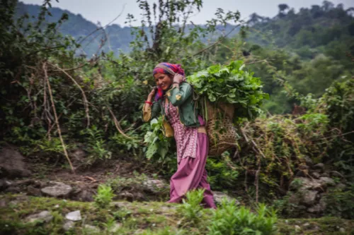 Darchula, Nepal, 2014 © Jitendra Bajracharya.