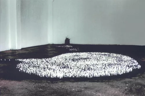 Nessun rimorso F. Lauretta Novecento, 10.000 soldatini gravidi in das e cera, pigmento, 1995