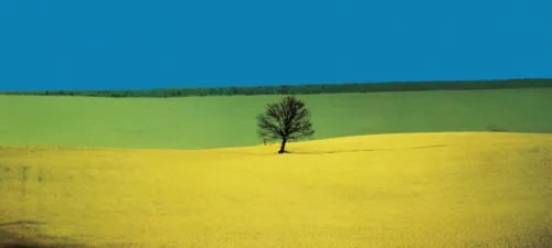 Ph Franco Fontana.