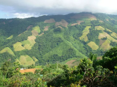 Il paeasaggio “sbagliato” forgiato dalla tecnica”taglia e brucia” praticata dagli agricoltori semi-nomadi Lua e Hmong