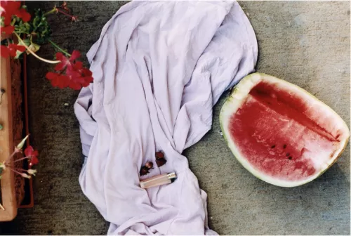 Opera di Wolfgang Tillmans.