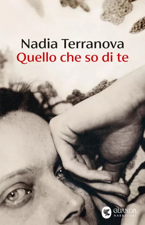 copertina Terranova