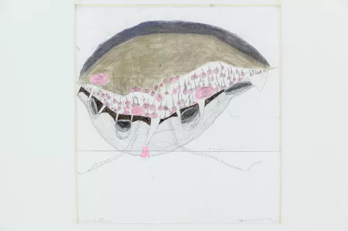 Tritaossa mangiaparenti, 87x70 2015, Stefano, Atelier dell'errore.