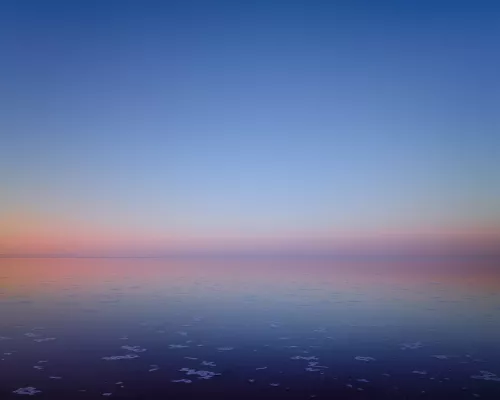 Ph Murray Fredericks.