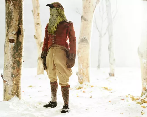 Winter Stories, 2007-2009.