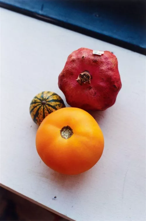 Wolfgang Tillmans, Still life, Pumpkin, Tomato & Pomme Granate, 1995.